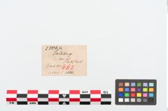 Etiketten zu Bronzemehrkopfnadel (NHMW-PRAE-025064)